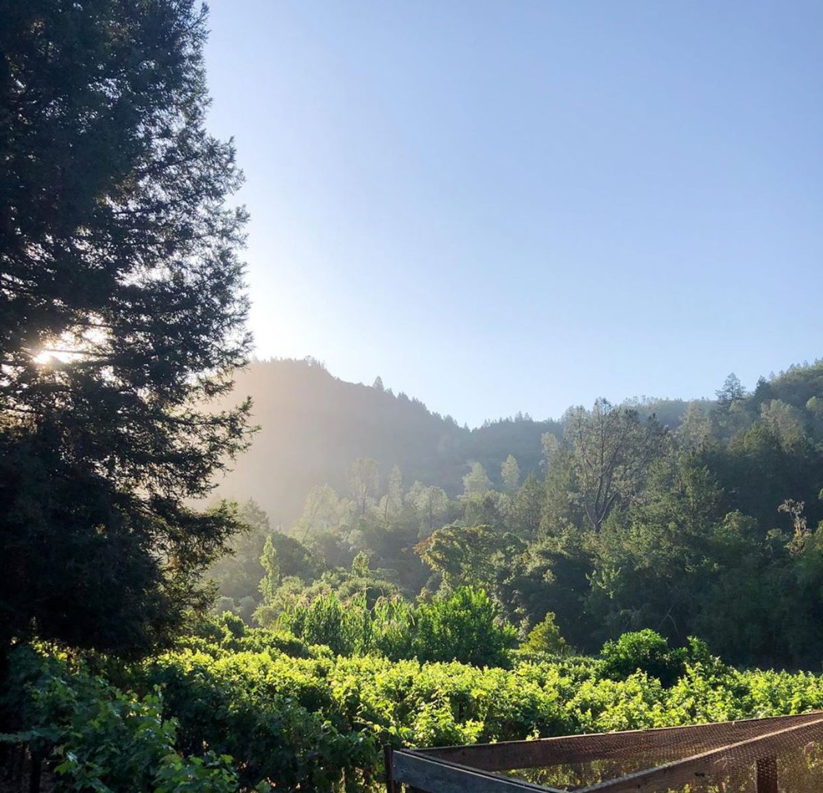 Calistoga Ranch tweet media