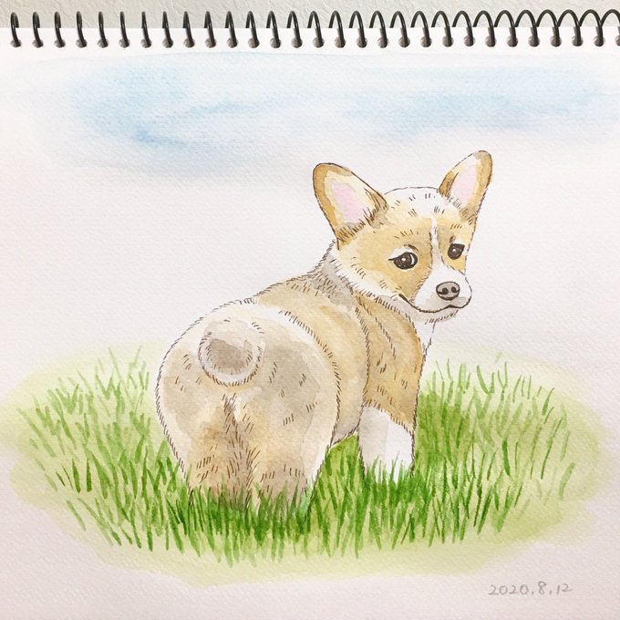 ウェルシュコーギーのtwitterイラスト検索結果