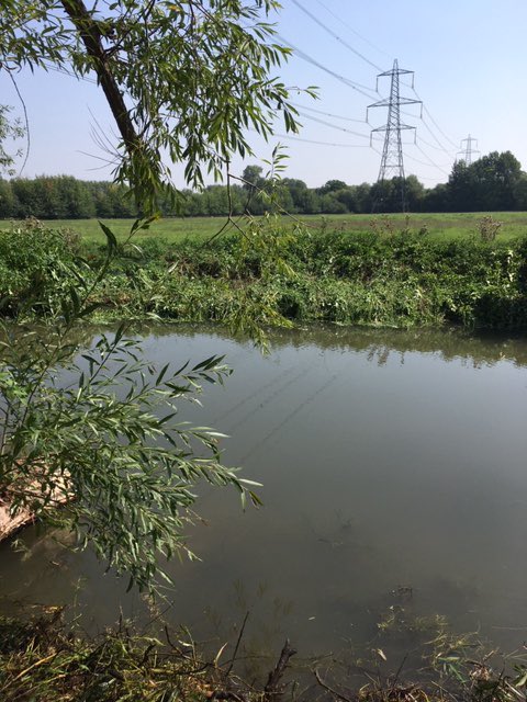 MariaHerlihyEA's tweet photo. Fallen tree removal by the Cotswold and Vale Field team at #Bablock Hythe #Witney .Great work by all .involved .@EnvAgencySE @MarkHill03 @Jennifer_Hil1 @wifo_ea @TobyWillisonEA https://t.co/o3EmbYFQdS