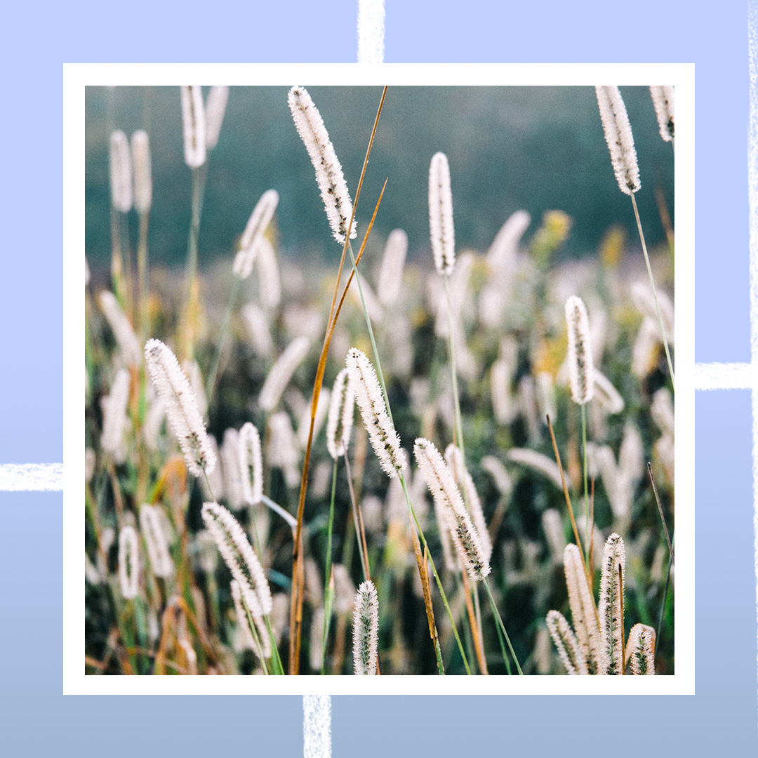 HCBetterDays's tweet image. Let your roots grow down into him, and let your lives be built on him. Then your faith will grow strong in the truth you were taught, and you will overflow with thankfulness. Colossians 2:7
.
.
.
#church #churchcommunity #churches #churchfamily #counseling