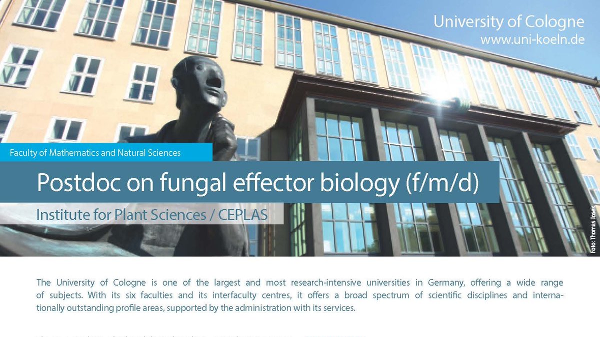 Please share: 
We are offering an ERC-funded Postdoc position on fungal effector biology