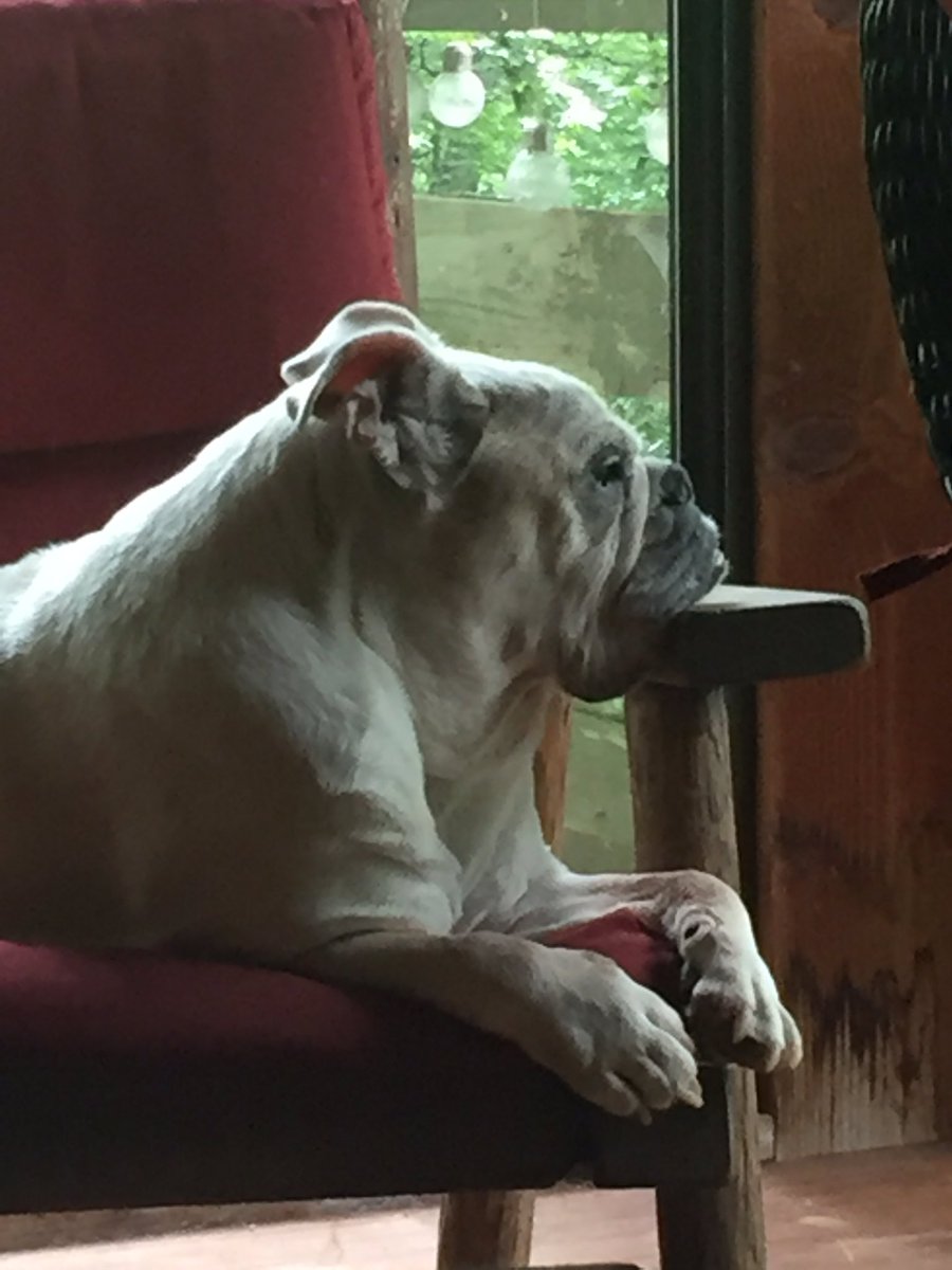 Will Kyzer tweet media