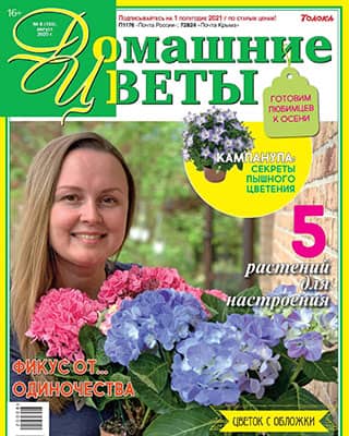 jurnalanet's tweet image. Домашние цветы #8 [2020]
#ДомашниеЦветы, #Садоводство
➣ jurnala.net/domashnie-tsve…