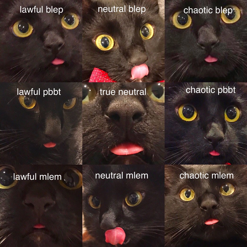 Tomi_Tapio's tweet image. cat blep #alignmentchart