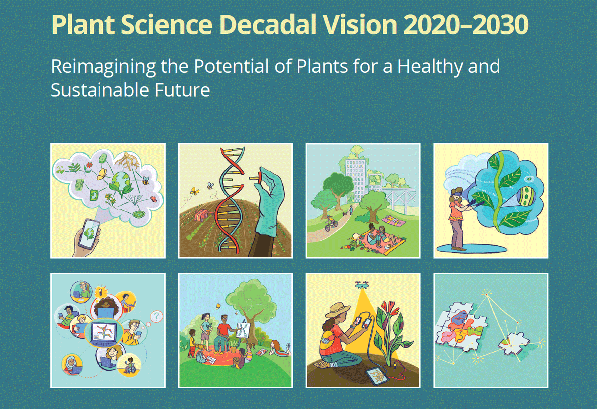 BTIscience's tweet photo. Join us on 8/12 12pm ET for an interactive chat w/ David Stern (CEO &amp; President of BTI) discussing Plant Science Decadal Vision 2020–2030, a holistic vision for the next decade of plant science blending recommendations for research, people, and technology. https://t.co/tC3vb1DAui https://t.co/sOpZsTAnmL