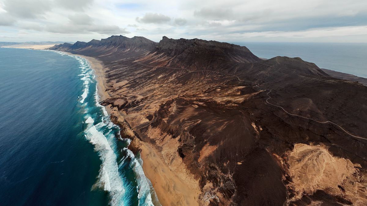 Wakacyjni Piraci tweet media