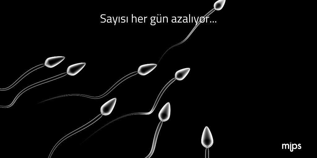 Eskiden sperm sayısı sağlıklı bir erkekte 100milyondu artık 15milyon. Bu sayı gün geçtikçe de azalıyor. Yavaş yavaş ölüyoruz #baba. #spermsayisi #spermkalitesi #üroloji #sağlık #sağlığımyanımda #thehealthbewithyou #evdespermtesti