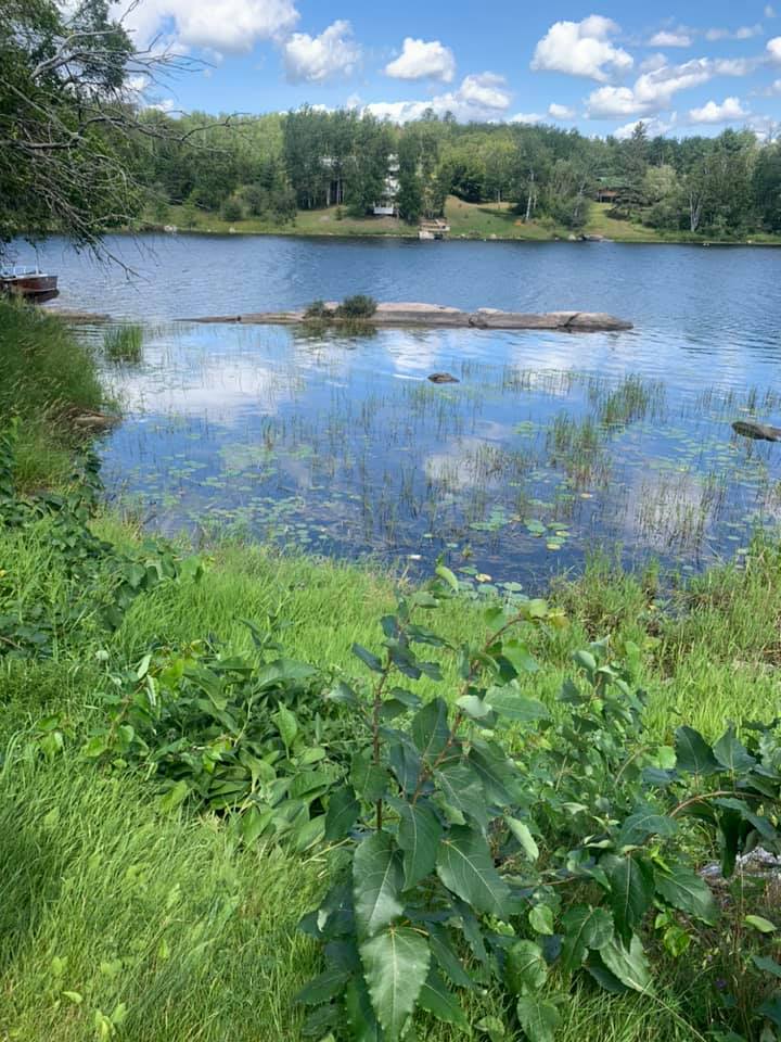 LOWDSAssoc's tweet image. Watch for the LakeSmart team &amp;amp; LakeSmart boat on Black Sturgeon this week. They&apos;ll be doing dock stops &amp;amp; ready to talk about healthy shorelines, invasive species, septic systems, living green at the lake and more.  #livinggreenatthelake #docktalks