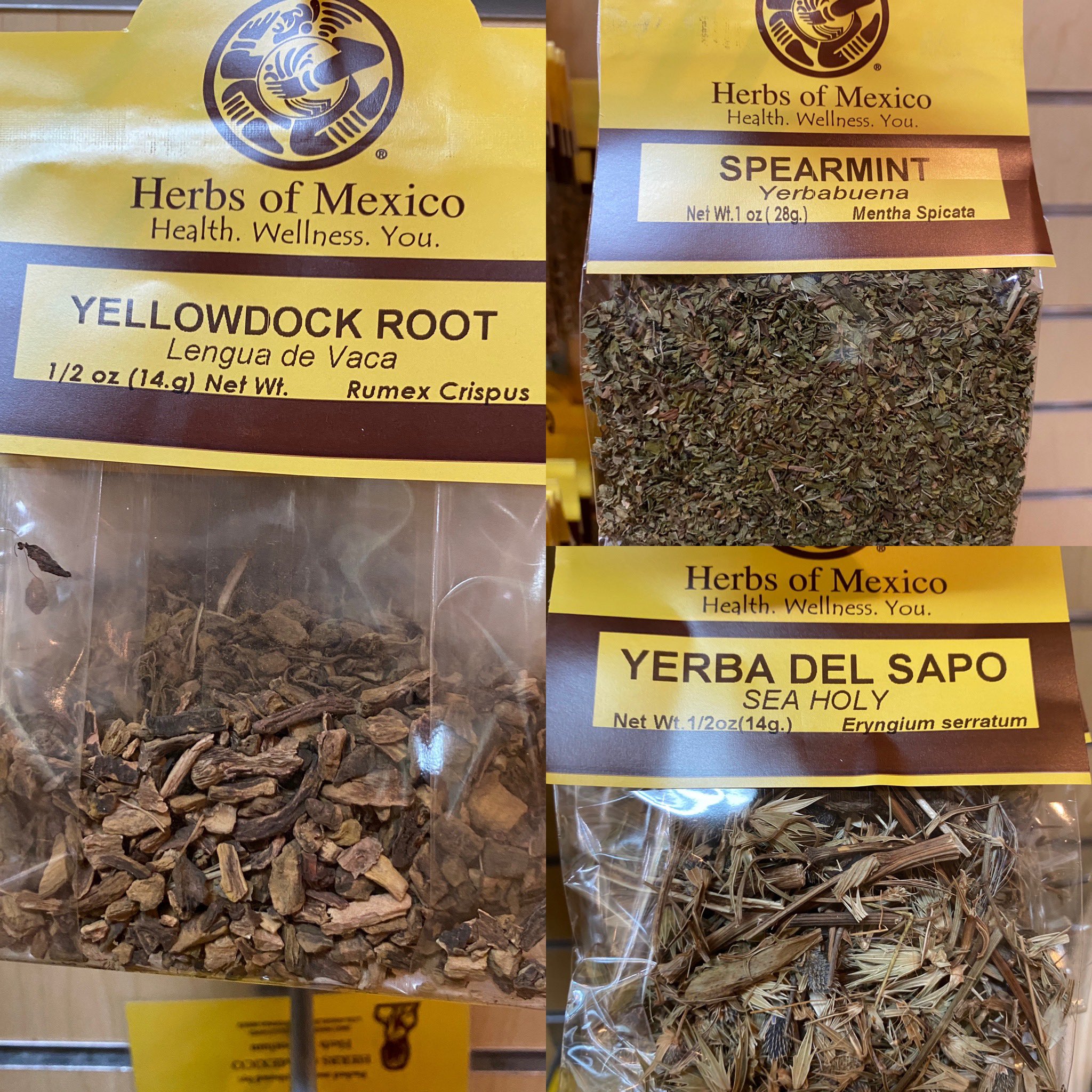 Herbs of Mexico on Twitter "Herbs of the Day, yellowdockroot 
