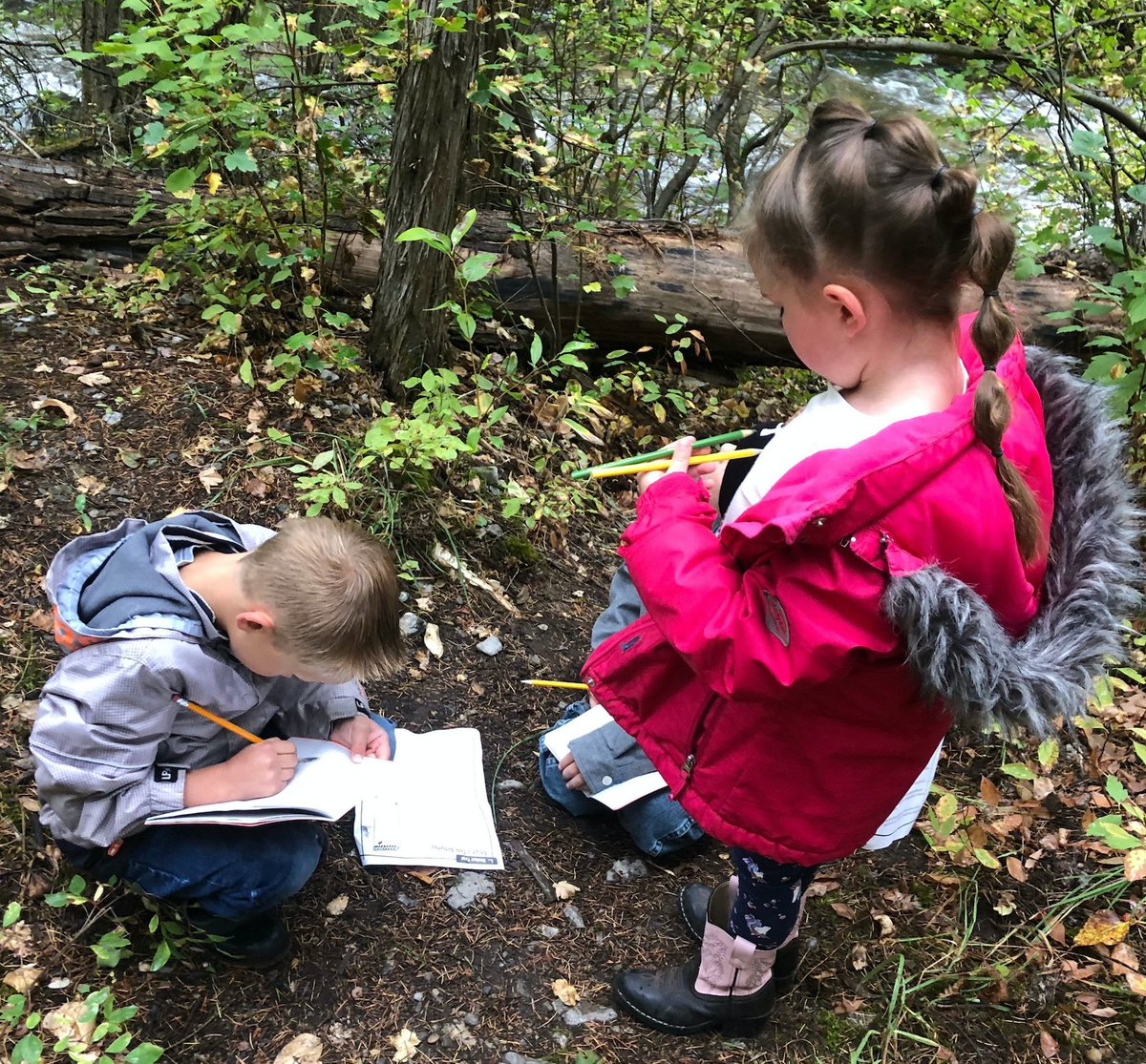 The Rural Schools Collaborative (RSC) is pleased to announce open applications for the 2020-21 Celia B. Godsil Grants in Place Fellows program. Learn more and apply at the link below!

ruralschoolscollaborative.org/stories/apply-…