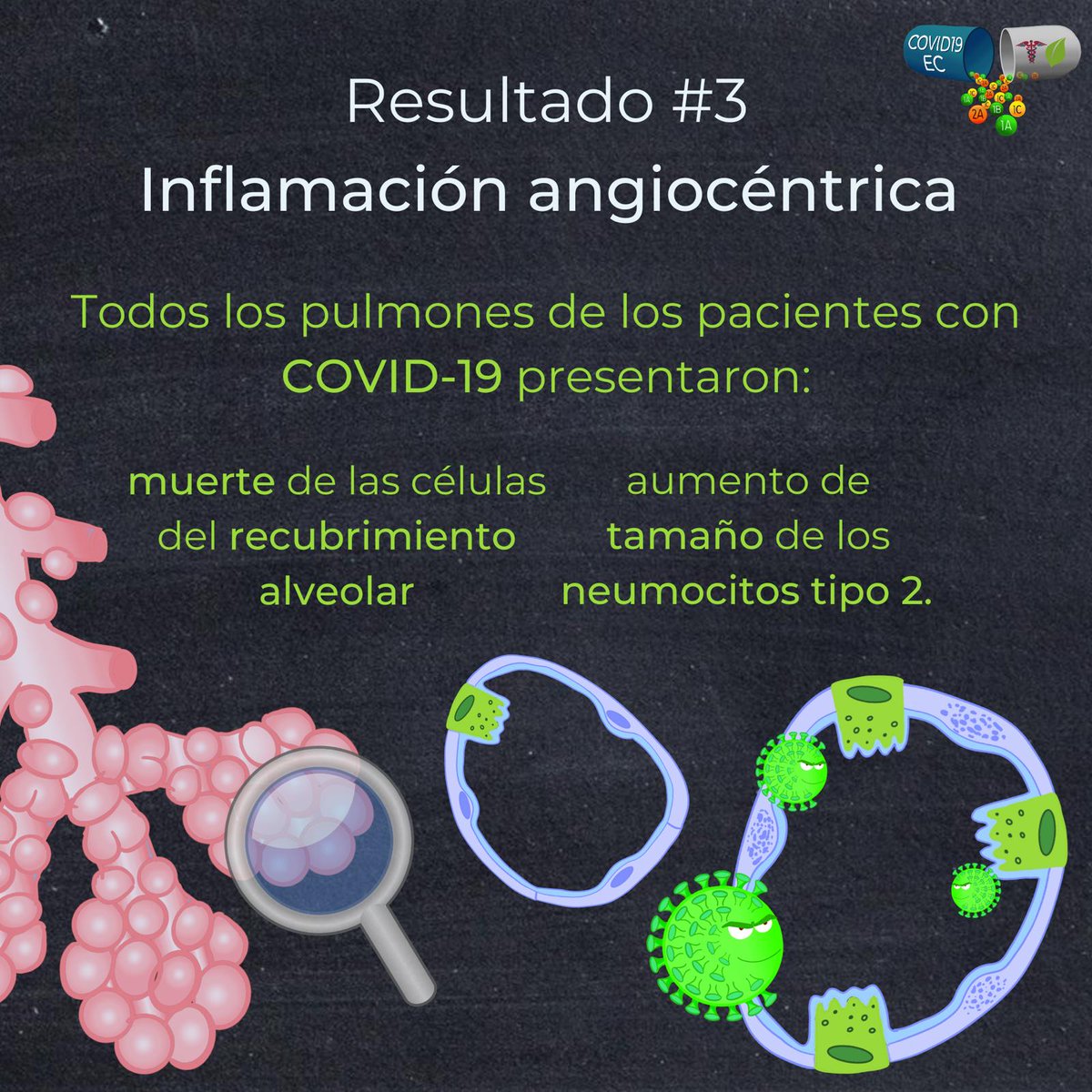 Covid19ec2's tweet photo. Comparación entre pulmones de personas fallecidas por COVID-19 y por H1N1😷

PARTE 2

Léelo aquí:https://t.co/rX6zjXftVE

#COVIDー19 #virus #PandemiaDelCoronavirus #pandemic #Doctor #medicine https://t.co/oc8qJdMsrx
