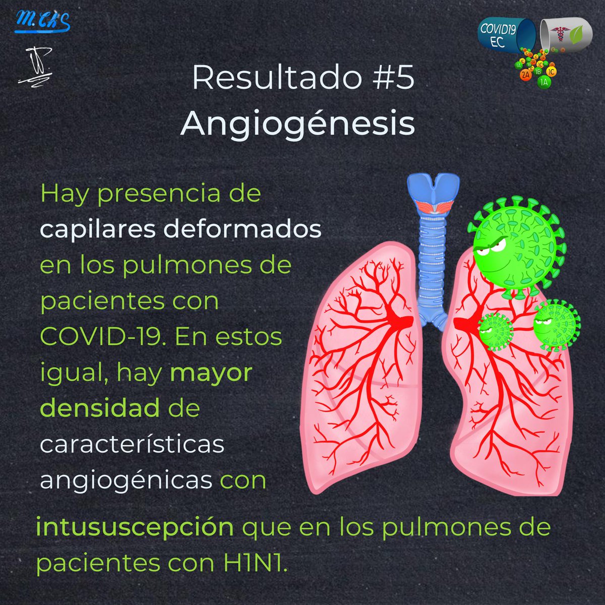 Covid19ec2's tweet photo. Comparación entre pulmones de personas fallecidas por COVID-19 y por H1N1😷

PARTE 2

Léelo aquí:https://t.co/rX6zjXftVE

#COVIDー19 #virus #PandemiaDelCoronavirus #pandemic #Doctor #medicine https://t.co/oc8qJdMsrx