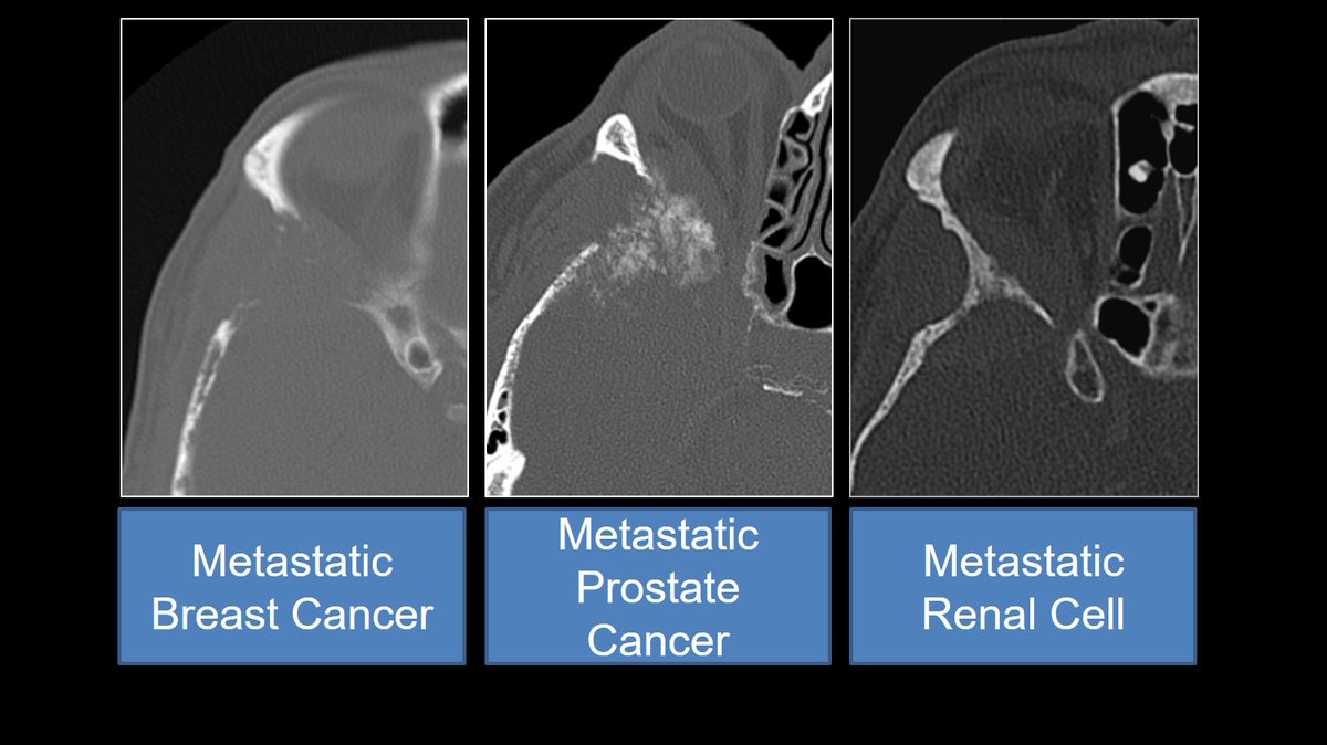 Tabby A. Kennedy, MD tweet media