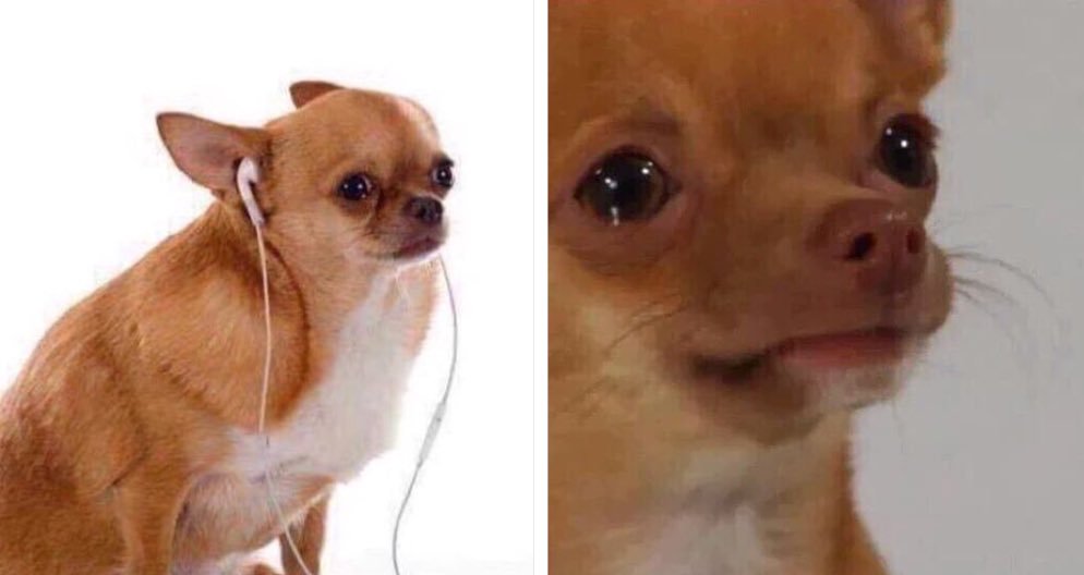elanadaras's tweet photo. ouvindo ninguém dá certo cmg no dia dos solteiros https://t.co/RUA8tmRiX9