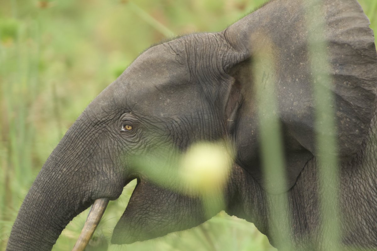 Joseph Cutler tweet media