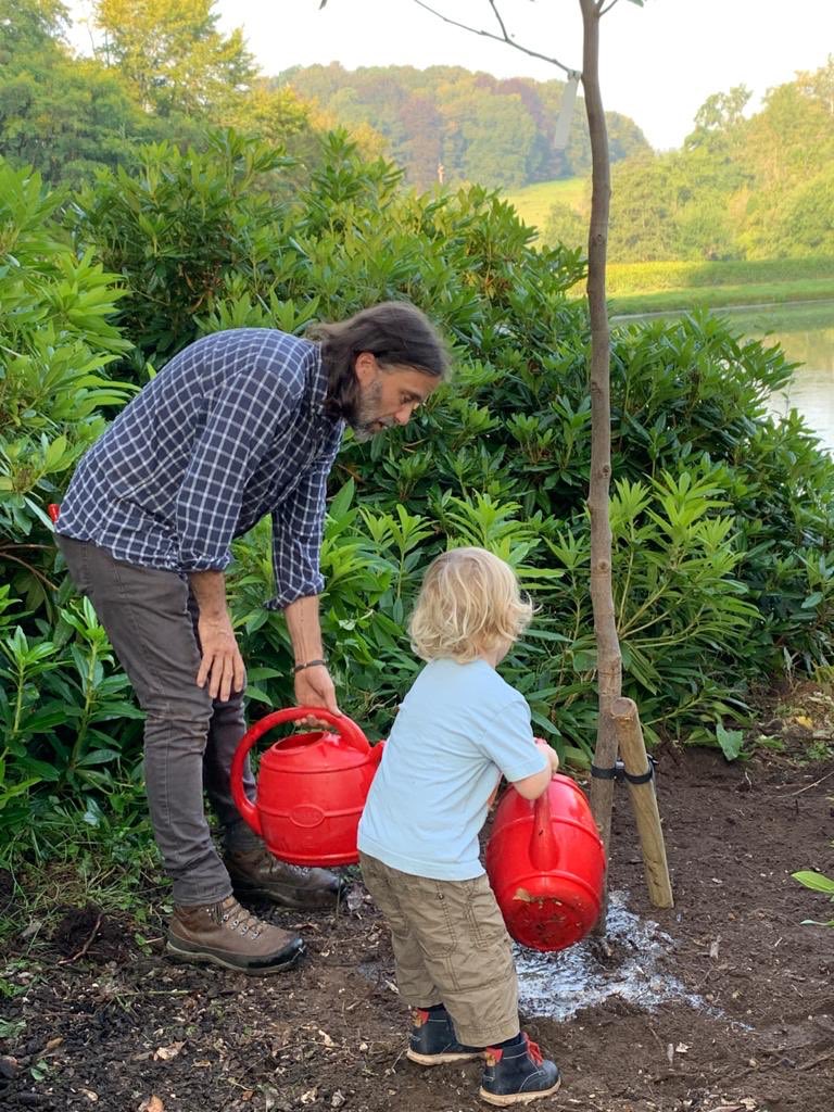 norrislou's tweet photo. He did have some help.....
@alanstourhead @derreen2 @The_TreeGuy https://t.co/6npB3hQoYE