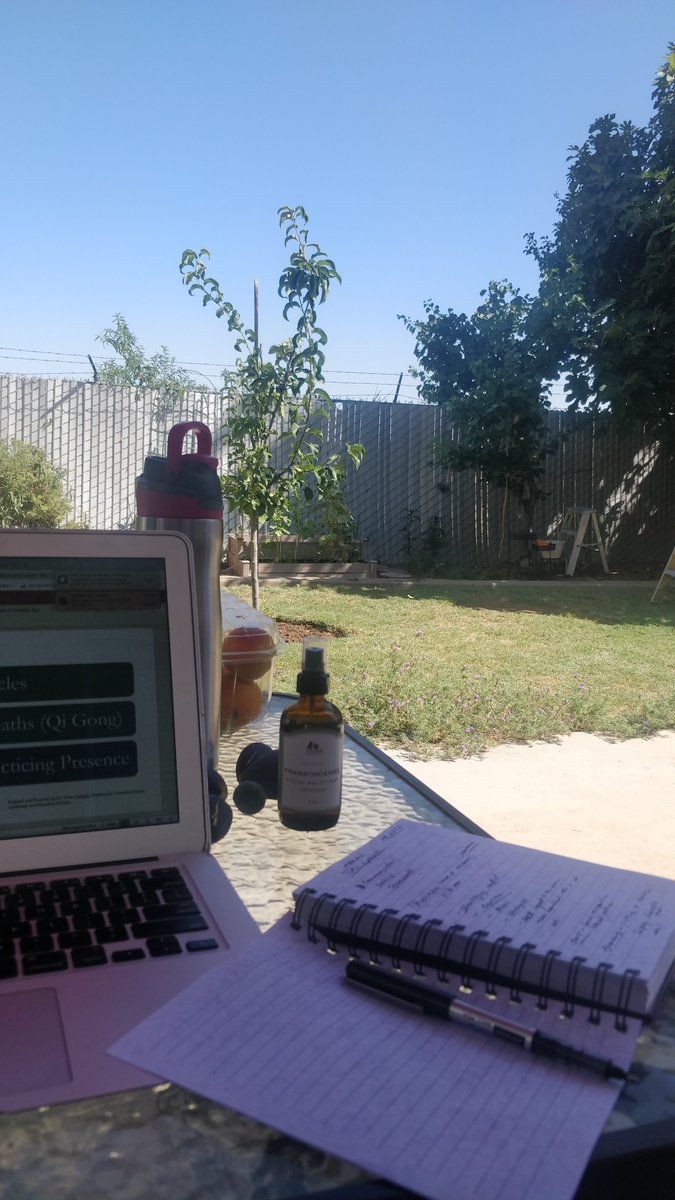 doc_yvette's tweet photo. Working outdoors, barefooted. Feet in the grass lowers toxins. Enjoyed picking fruit for my stretch break. #selfcare #workwell #thereistime #healthisthenewwealth https://t.co/HUcROr3e6I