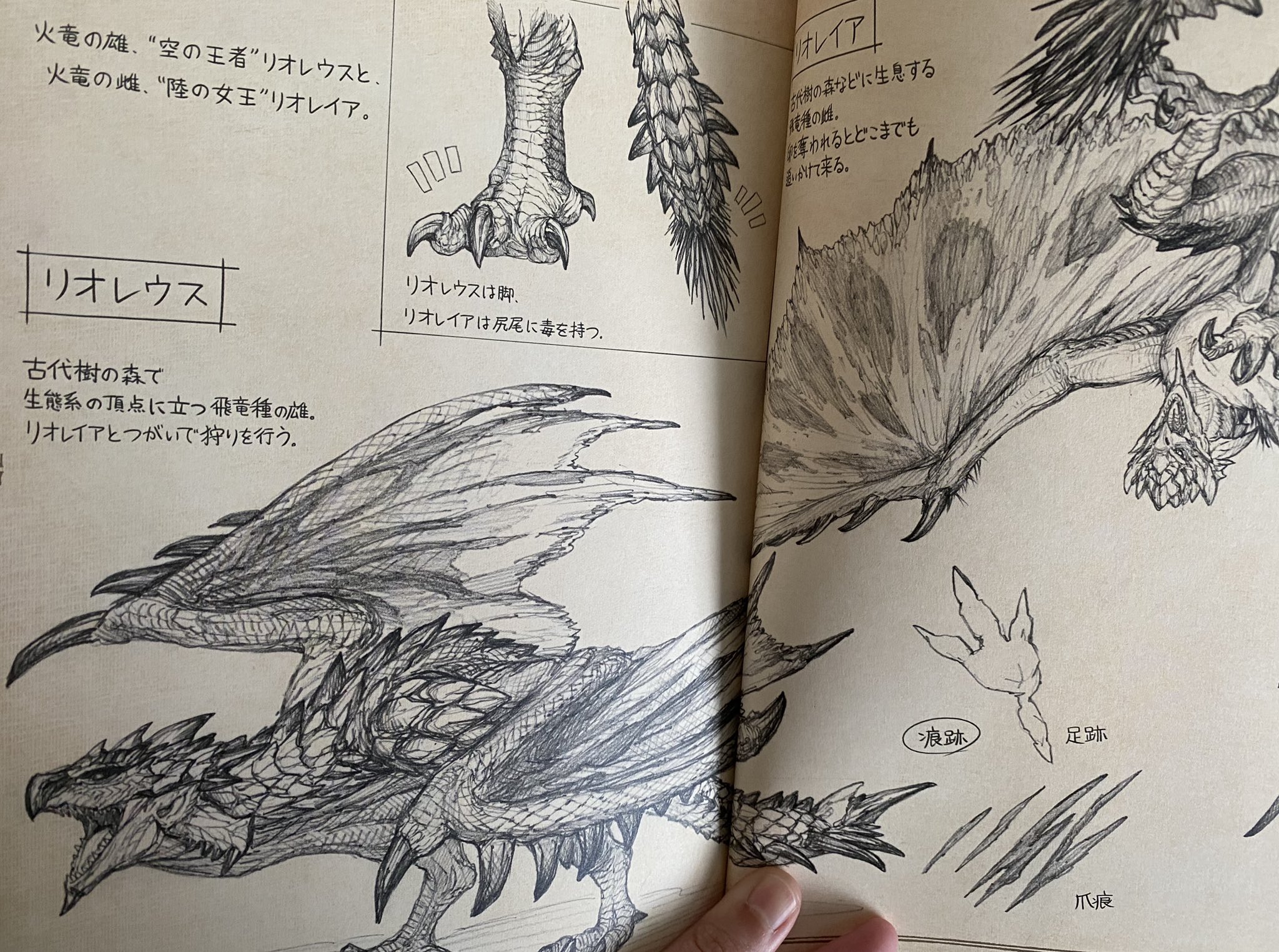 Brain Empty Balls Full If You Use Vizref I Can Send You The Art Board Too