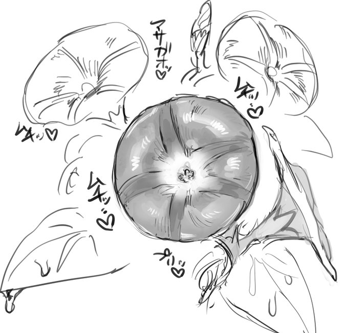 朝顔ってエロいんだな 