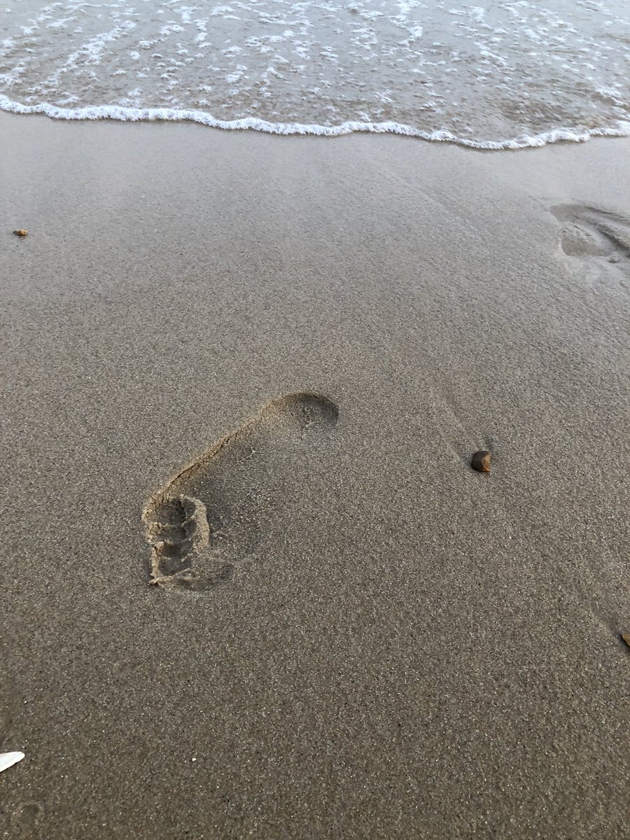 CTPooleTherapy's tweet photo. According to the husband we are now ‘ocean swimmers’ .... been twice now in 5 days #AHPsActive #weactivechallenge2020 @Pooletherapies @DorsetAhps @Poole_Hospital https://t.co/afQaMCg3CD