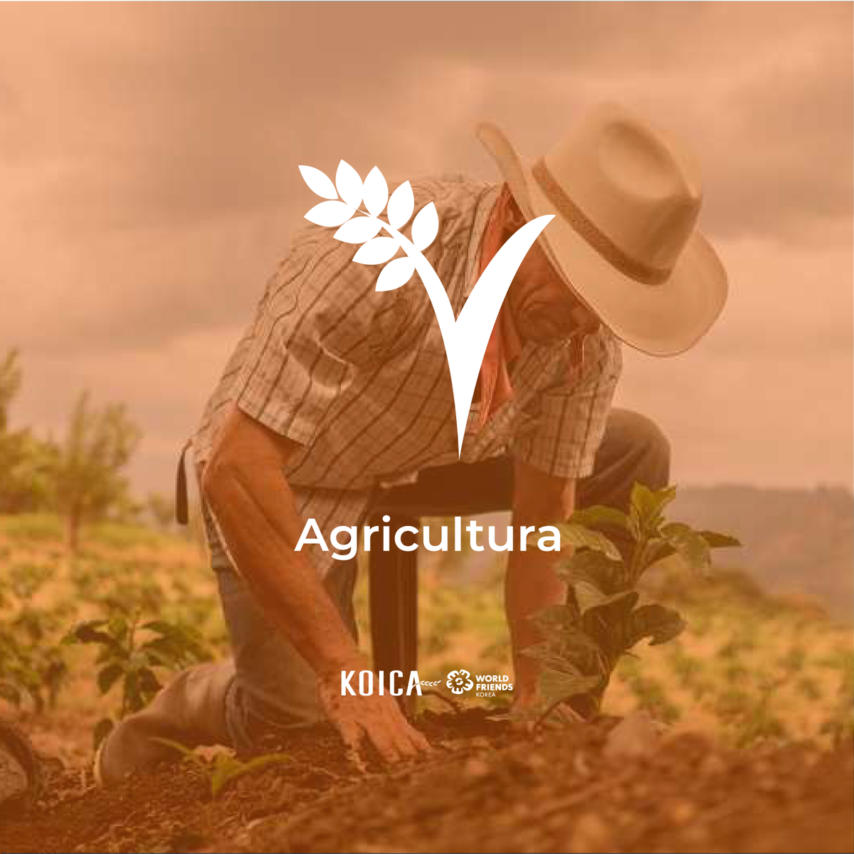 ¿Conoces los principales sectores de asistencia del Programa de World Friends Korea?🇰🇷

Agricultura🚜

Busca garantizar el bienestar integral de la población rural. 
Contribuir a la mejora de la calidad para todos a través del desarrollo rural y sostenible inclusivo y sostenible.