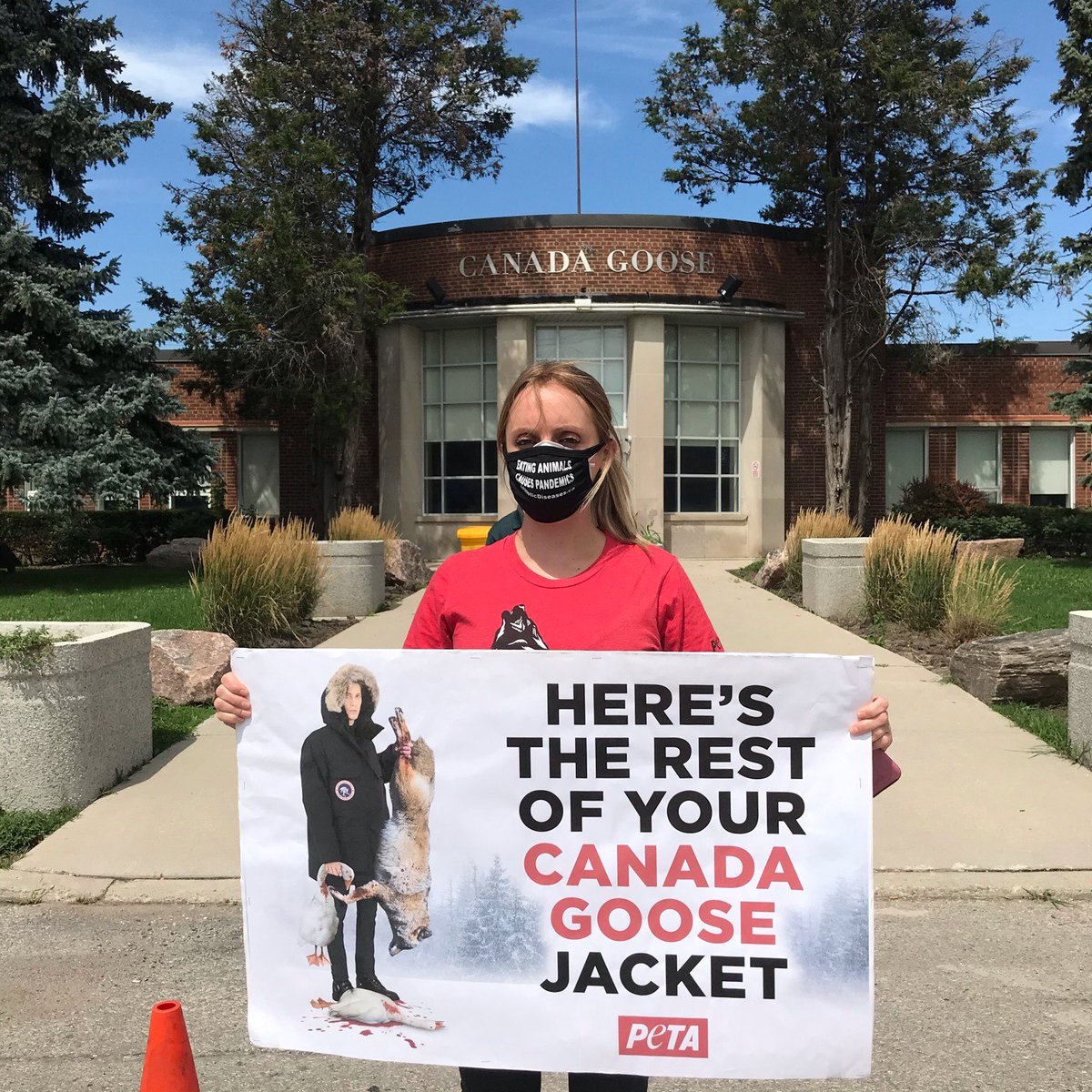 peta's tweet photo. Hey @canadagoose: "reclaimed fur" is still a product of extreme violence!
 
Activists protested outside of #CanadaGoose’s HQ in #Toronto during its shareholder meeting today to urge the company to actually do the right thing and drop fur entirely. https://t.co/xqhn34Onvz https://t.co/h1TeOiAGh8