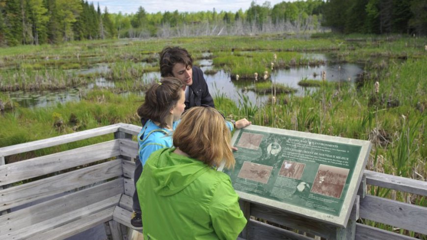 TourismeFred's tweet photo. Sortez prendre l’air et réservez votre aventure gratuite pour découvrir les étangs des castors au parc provincial @MactaquacNB! Petits et grands s’amuseront à chercher un trésor et à pêcher des bestioles. Réservez au 506-363-4747. https://t.co/cwqGSf11iC