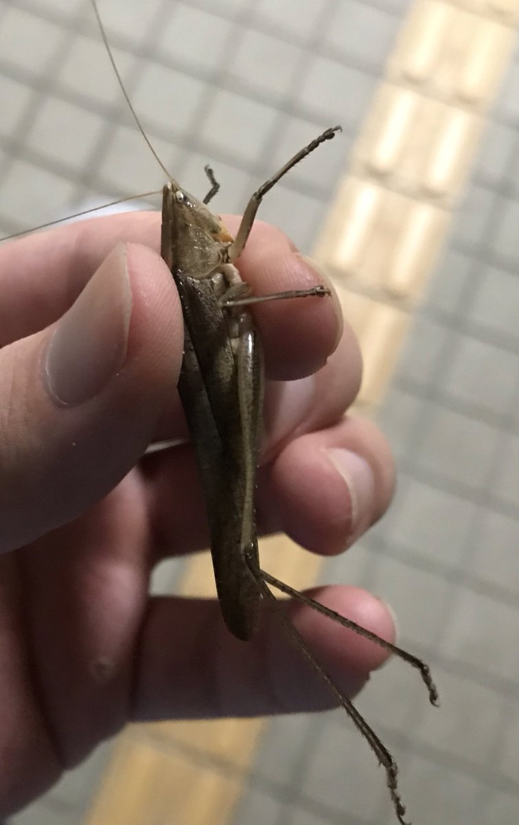 ａre Ajtdmwgp0 Twitter