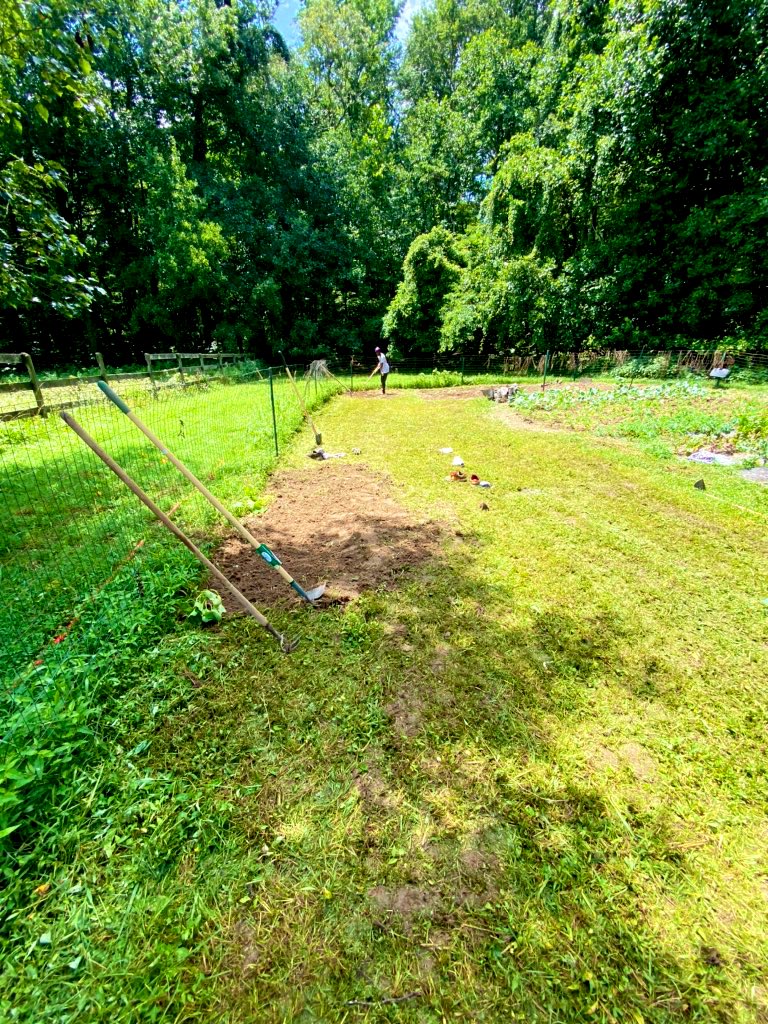 ive partnered with  @AbundantLfMrkt to help provide the  #dmv area with fresh local  #organic produce. in less than 2 months we've gifted free  #grocery bags to over 50 dc families & now we're working on this amazing farm, growing our own produce for the mobile market & community. 