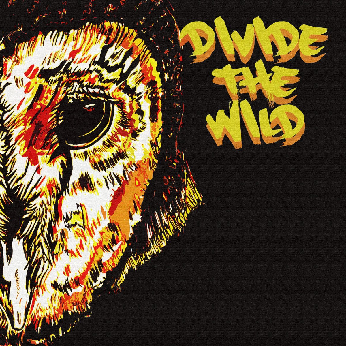 DivideTheWild tweet media
