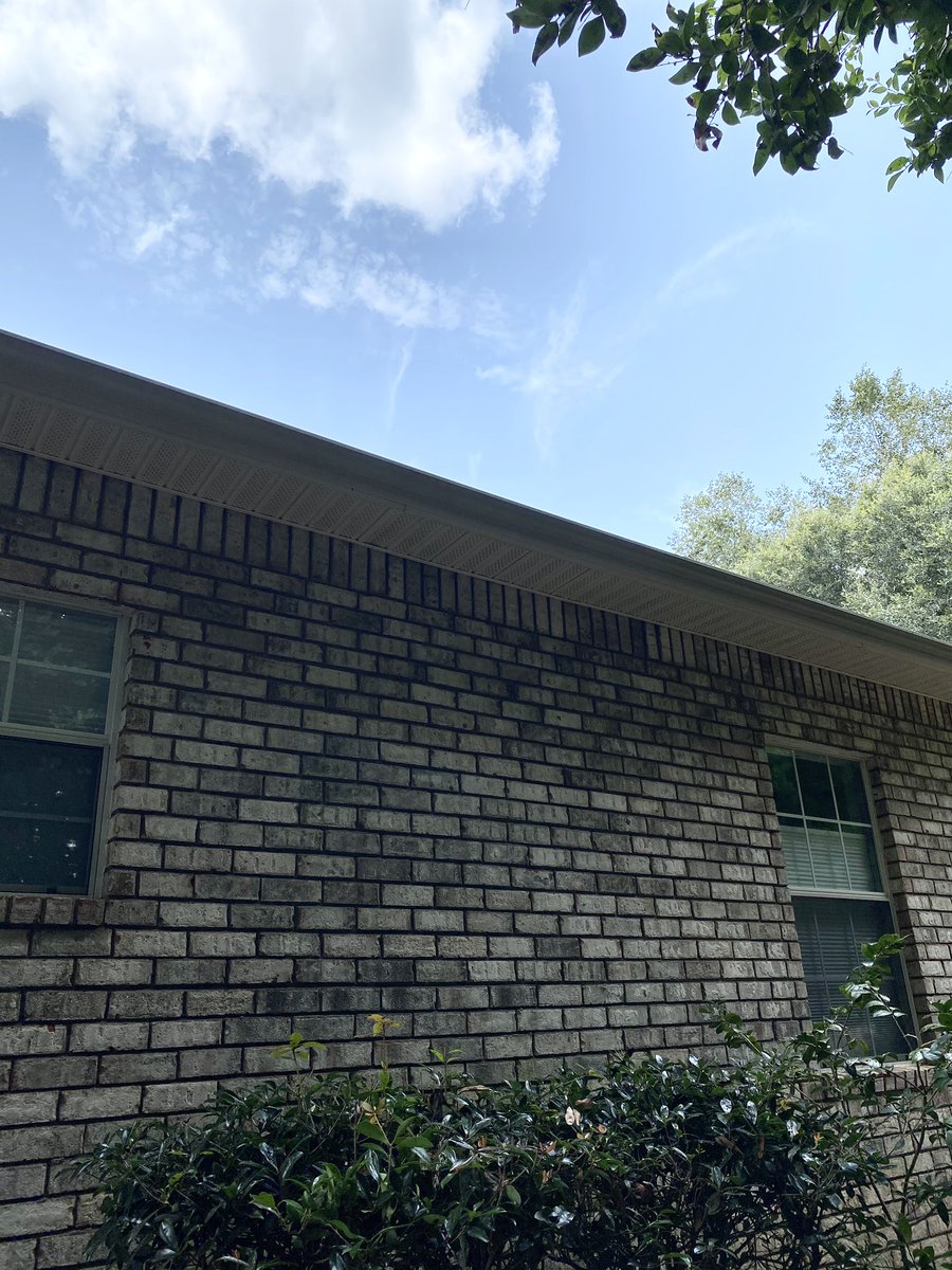 EyeDoWindows's tweet image. Gutters can hold a lot of dirt, leaves, and even trees 🌱

Call us to get them clean! Our solution brightens and clears them of any debris. We also flush them out to ensure they’re properly working! 

251-609-2976 for FREE Quote! ☎️