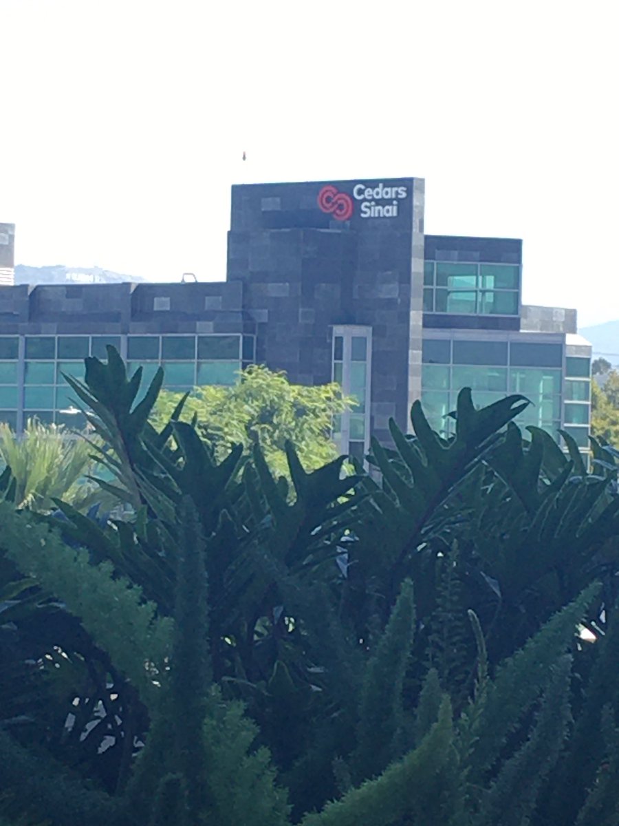 dadhasaheadache's tweet photo. And for round two. Off for his first procedure/test today.
#cedarssinai 
#csfleak https://t.co/EU5QpzRH9J