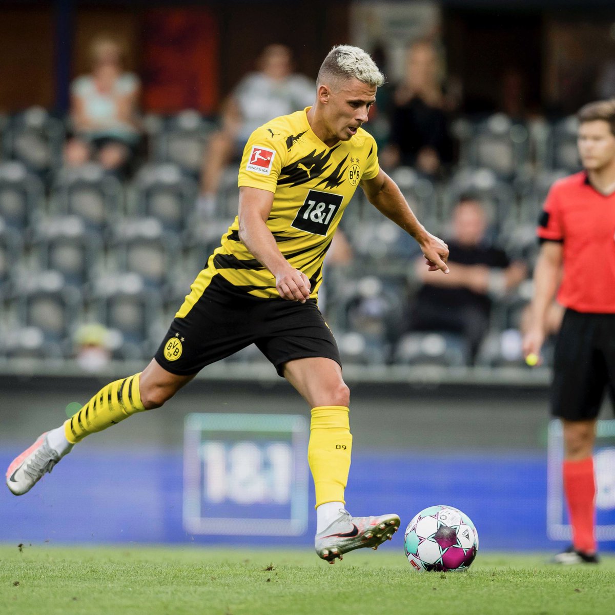 Feathered and lethal 🔥