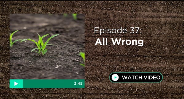 PASI_Tech's tweet photo. The 'All Wrong' Planter study by InsidePTI answers the questions about all the things that add up and could impact performance if done wrong!

Watch episode 37 - All Wrong to find out what happens. https://t.co/C2AGnkDo6f

#InsidePTI #PrecisionPlanting https://t.co/dF9K0akuEz