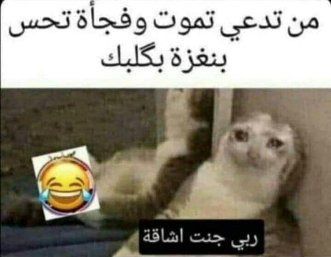 منو هيج صايره بي يجي يكعد بصفي ويكول الحمدلله 🥺💔