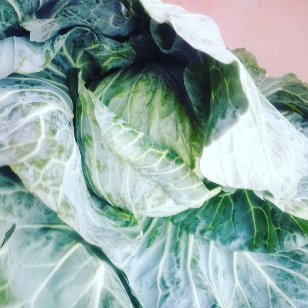 tabo_martin's tweet photo. RT please my customer might be here. I supply in bulk. Kindly Contact Me. Anyway Within Namibia❤️🙏🙌 0816508348. I Am Based In Rundu https://t.co/GzkGdYZdZb