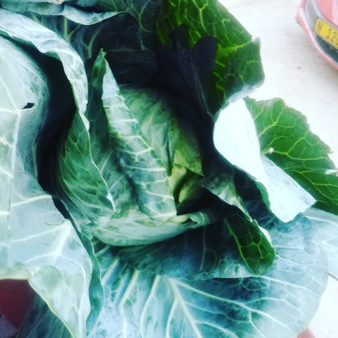 tabo_martin's tweet photo. RT please my customer might be here. I supply in bulk. Kindly Contact Me. Anyway Within Namibia❤️🙏🙌 0816508348. I Am Based In Rundu https://t.co/GzkGdYZdZb