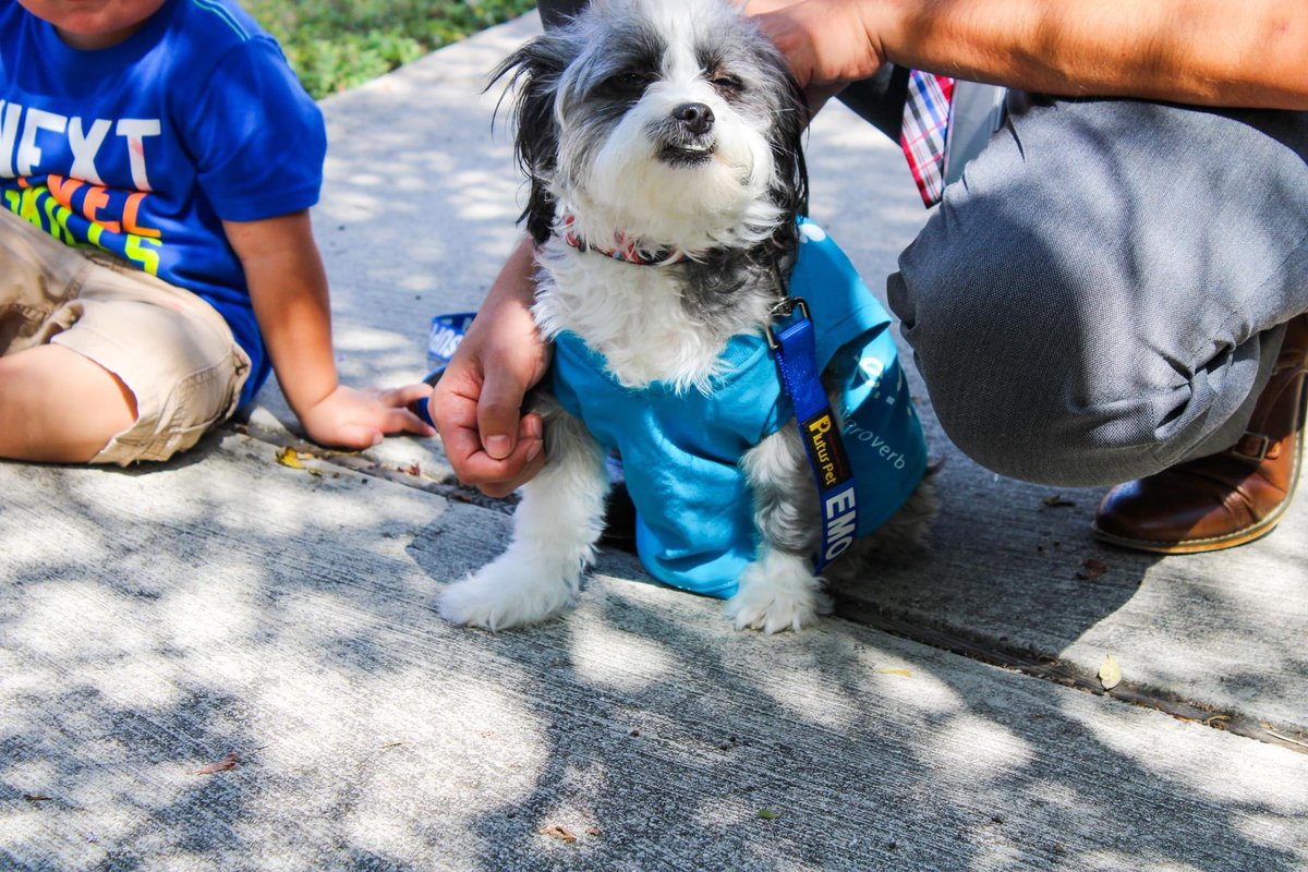 Seton Home tweet media