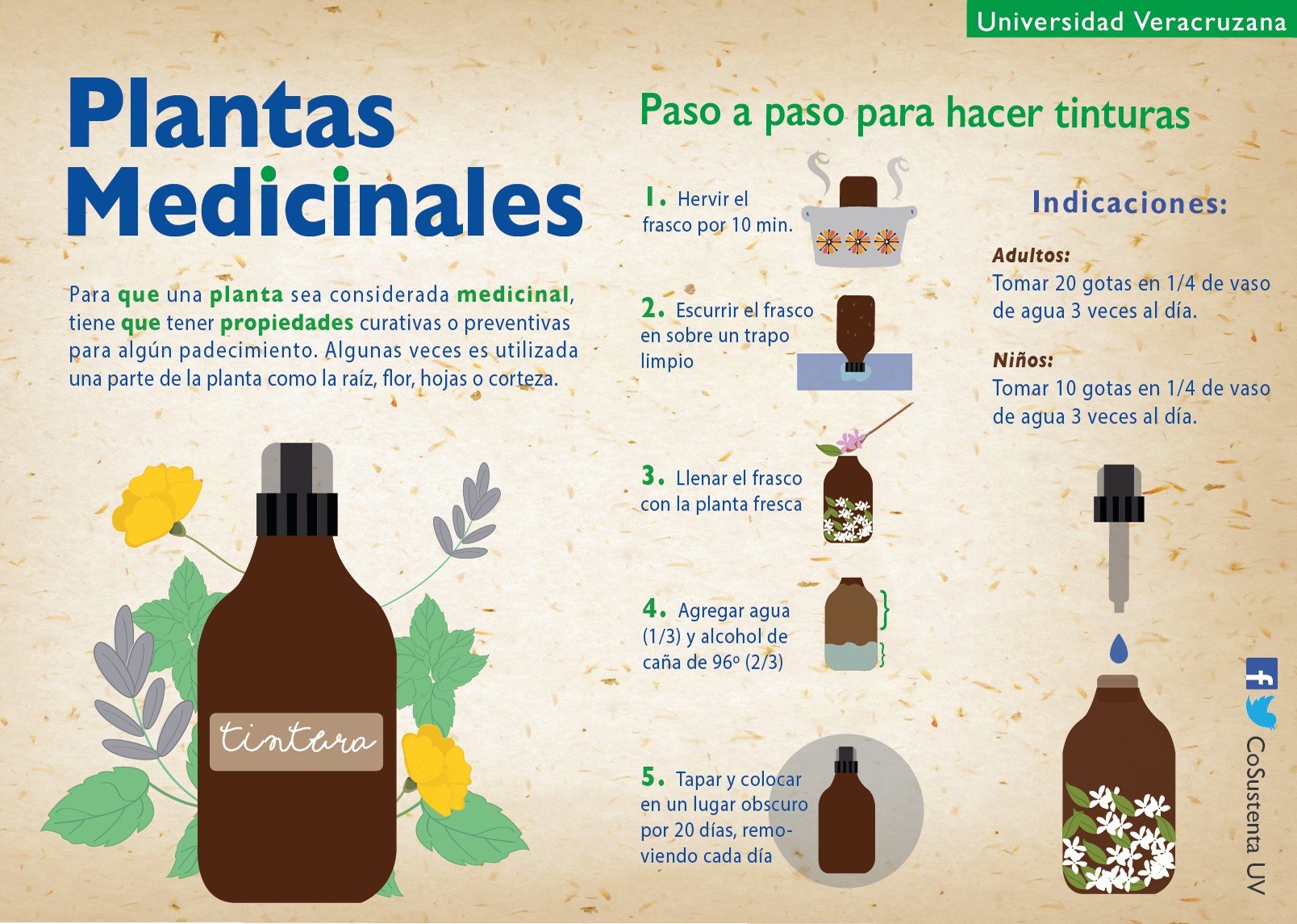Cómo Preparar Tinturas con Hierbas: Una Guía Completa