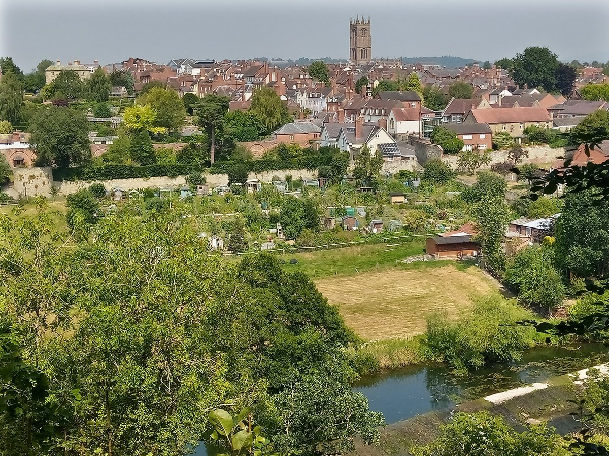 PeterReavill's tweet photo. One of the loveliest views of #Ludlow from #WhitcliffeCommon earlier - but not of the castle, but the majestic town wall - most complete in England and the Mill Street allotments https://t.co/f59s77resU