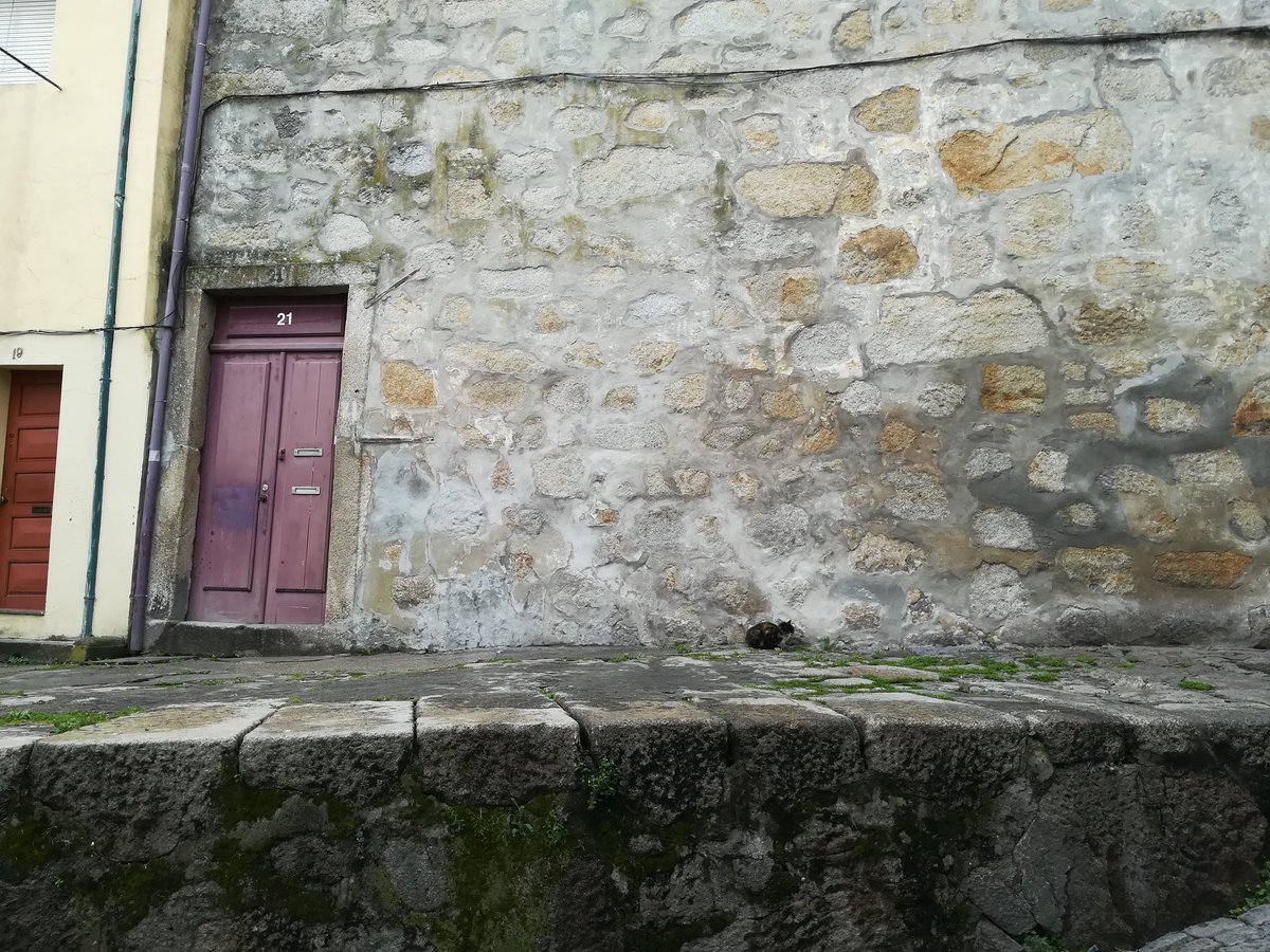 __Outsider___'s tweet photo. #InPortogallo #CasaLettori
O topinho furbinho https://t.co/riCUxJEEkP
