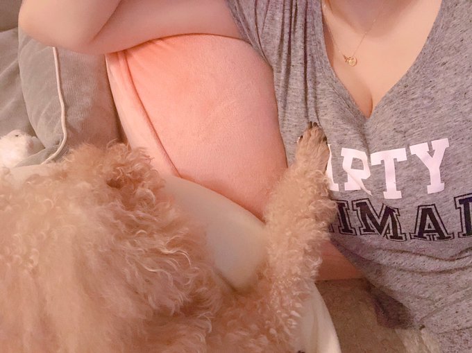 ぐぅぅぅーんって背伸びして、 そのままお手手がタッチ🤫 https://t.co/IqBYTbQJ0Z