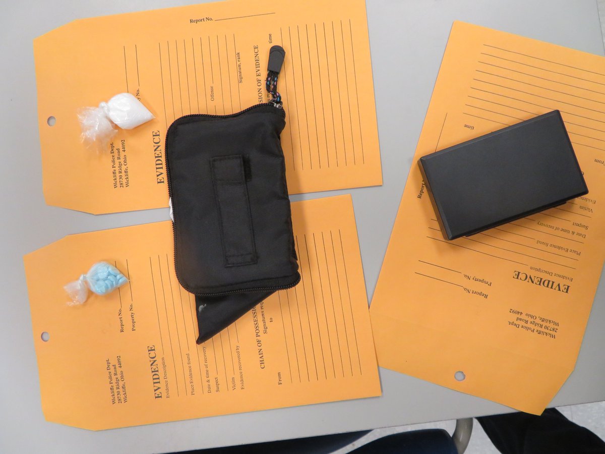 On 08/11/2020 at about 4:30 pm, detectives and officers see drug activity. Investigation leads to seizure of loaded gun, heroin, cocaine, MDMA, and adderall pills. 2 arrested, including convicted felon.