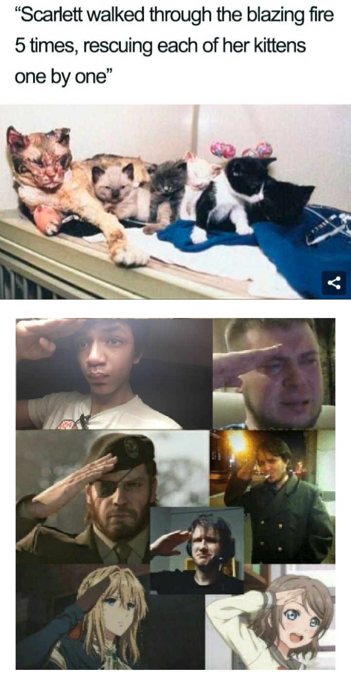 memes on X: Press F to pay respect / X