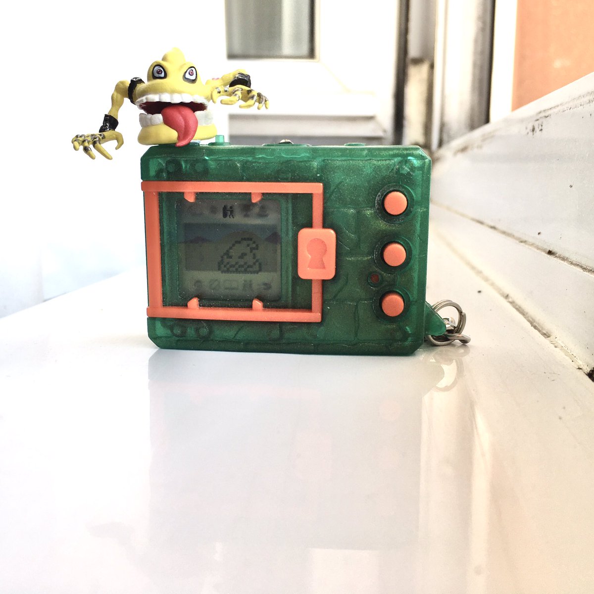 MagicGirlSerena's tweet photo. Only have 2 sets of these figures and seems that I’m raising all of them!! 😍❤️ #Sukamon #Digimon #DigimonVpet20th #Digitamer2020 #DigimonCapsuleMonster #DigiPoop #DigimonAdventure #DigimonUK https://t.co/W0a0Y0BNE2