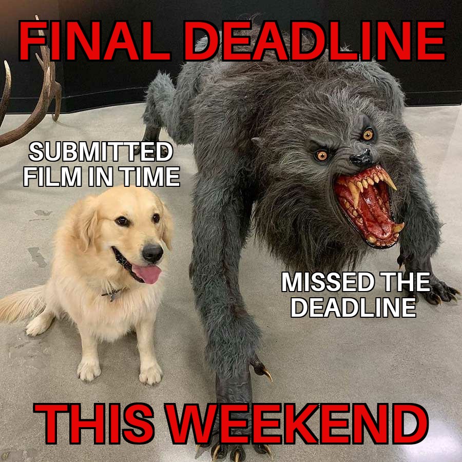🎬 THE FINAL DEADLINE  IS APPROACHING! 📣

Take 30% off of your submission! 

Use code: FINAL30 

Thanks for following us and we look forward to seeing your films! 🎥

austinindiefest.com