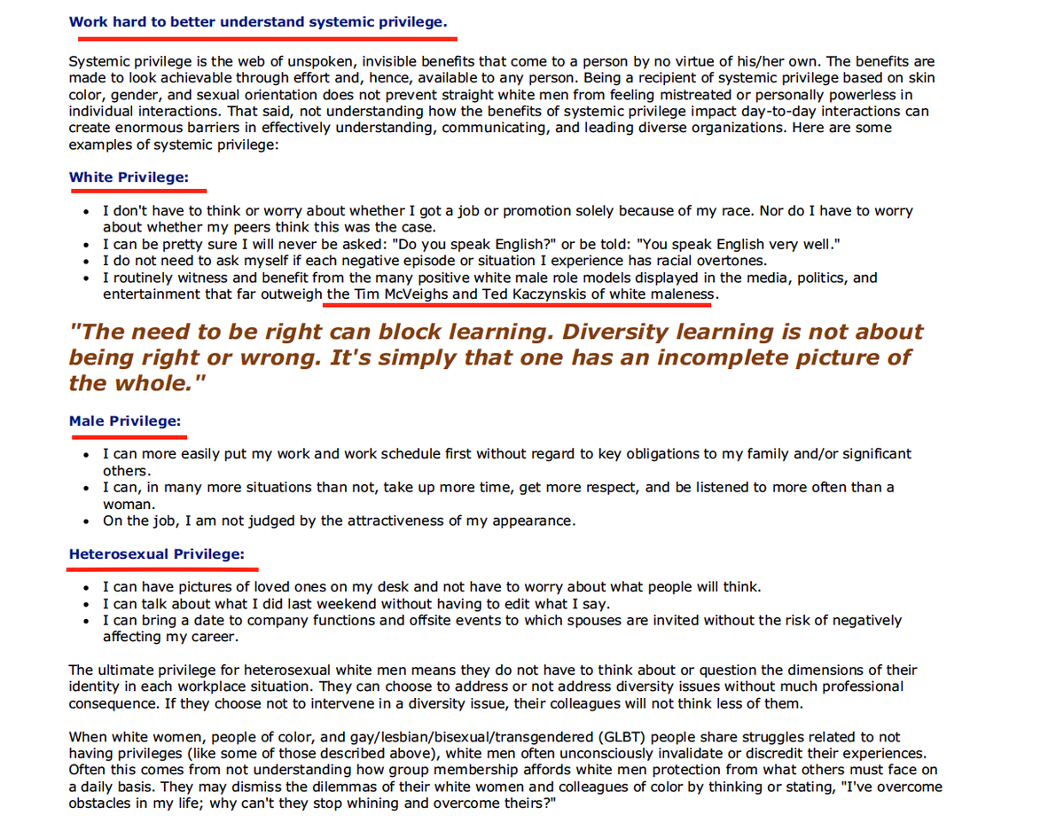 The trainers insist that white males must "work hard to understand" their "white privilege," "male privilege," and "heterosexual privilege." They claim that white men benefit from positive stereotypes that "far outweigh the Tim McVeighs and Ted Kaczynskis of white maleness."