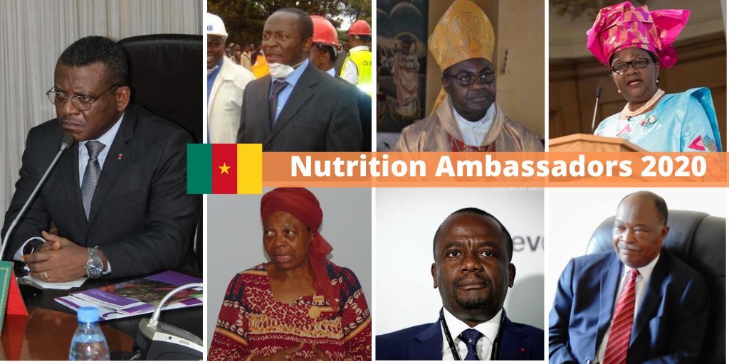 <a href="/SUNCSACameroon/">SUN CSA Cameroon</a> in collaboration wt the entire <a href="/SUN_Movement/">Scaling Up Nutrition (SUN) Movement</a>🇨🇲 select 7⃣Nutrition Ambassadors to mobilize greater actions against #malnutrition. These #Nutrition spokespersons represent all sectors of activity, 4rm strategic 2 operational  &amp; 4rm public to private actors