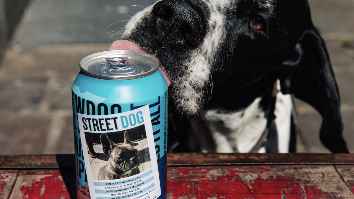 Thanks to <a href="/rickygervais/">Ricky Gervais</a> we’re launching Street Dog: limited edition Punk IPA.

We’re putting dog adoption ads from <a href="/AllDogsMatter/">All Dogs Matter</a> and <a href="/dotslondon/">Dogs On The Streets</a> on our cans to help them find new homes. 

100% of profits will be donated to these charities.

Pre-order bit.ly/BDStreetDog