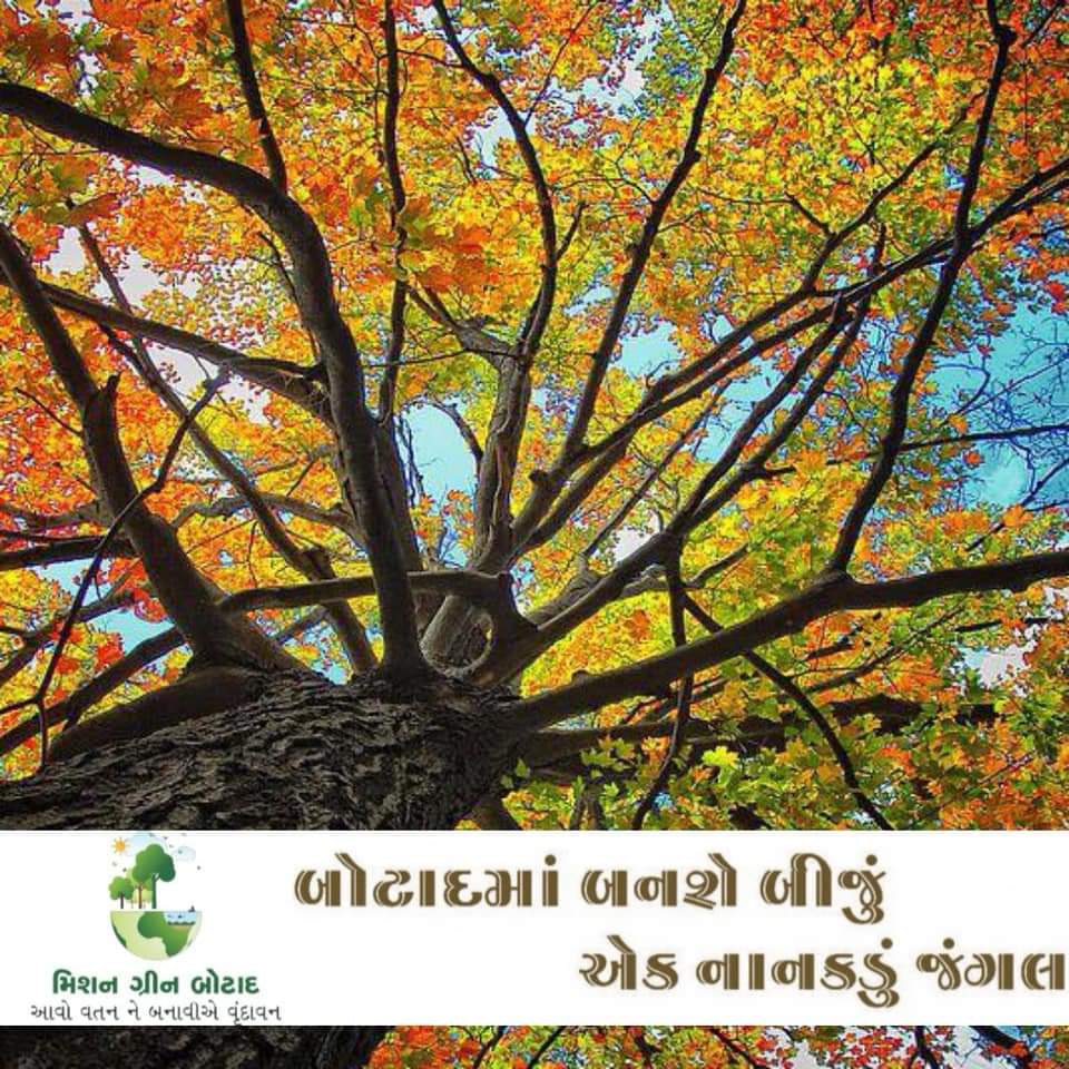 Mission Green Botad tweet media